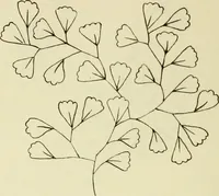 An illustration from Briggs & Co.'s patent transferring papers : patented for the United States of America (1880)
