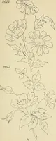 An illustration from Briggs & Co.'s patent transferring papers : patented for the United States of America (1880)