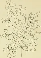 An illustration from Briggs & Co.'s patent transferring papers : patented for the United States of America (1880)