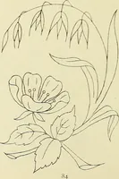 An illustration from Briggs & Co.'s patent transferring papers : patented for the United States of America (1880)