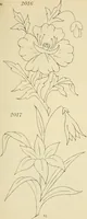 An illustration from Briggs & Co.'s patent transferring papers : patented for the United States of America (1880)