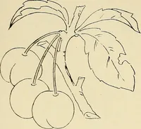 An illustration from Briggs & Co.'s patent transferring papers : patented for the United States of America (1880)