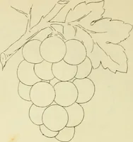 An illustration from Briggs & Co.'s patent transferring papers : patented for the United States of America (1880)