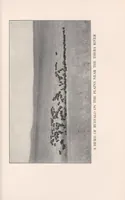 An illustration from In brightest Africa (1924)