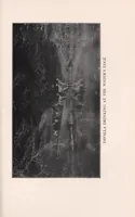 An illustration from In brightest Africa (1924)