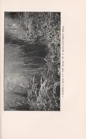 An illustration from In brightest Africa (1924)