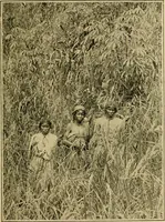 An illustration from The bright side of humanity; glimpses of life in every land (1900)