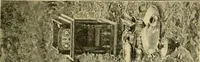 Picture 65 of 115 from The bright side of humanity; glimpses of life in every land (1900), leaf 306