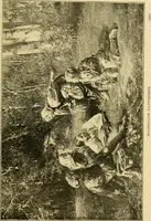 An illustration from The bright side of humanity; glimpses of life in every land (1900)