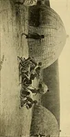 An illustration from The bright side of humanity; glimpses of life in every land (1900)