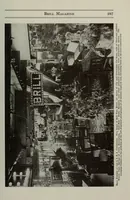 Picture 5 of 5 from Brill magazine (1907), leaf 349