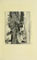 Picture 7 of 7 from A British borderland : service and sport in Equatoria (1913), leaf 389