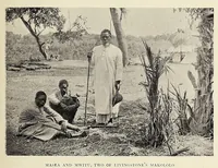 Picture 5 of 17 from British Central Africa : an attempt to give some account of a portion of the territories under British influence, north of the Zambesi (1897), leaf 123