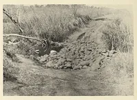 Picture 6 of 17 from British Central Africa : an attempt to give some account of a portion of the territories under British influence, north of the Zambesi (1897), leaf 150