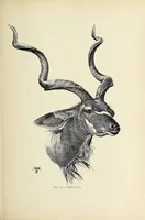 An illustration from British Central Africa : an attempt to give some account of a portion of the territories under British influence, north of the Zambesi (1897)