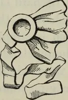 An illustration from British costume during XIX centuries (civil and ecclesiastical) (1910)