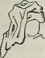 An illustration from British costume during XIX centuries (civil and ecclesiastical) (1910)