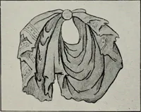 Picture 11 of 501 from British costume during XIX centuries (civil and ecclesiastical) (1910), leaf 27