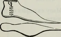 Picture 265 of 501 from British costume during XIX centuries (civil and ecclesiastical) (1910), leaf 294