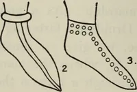 An illustration from British costume during XIX centuries (civil and ecclesiastical) (1910)
