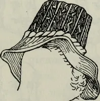 An illustration from British costume during XIX centuries (civil and ecclesiastical) (1910)