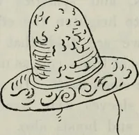 Picture 360 of 501 from British costume during XIX centuries (civil and ecclesiastical) (1910), leaf 382