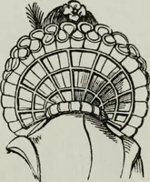 Picture 381 of 501 from British costume during XIX centuries (civil and ecclesiastical) (1910), leaf 396