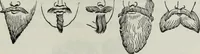 An illustration from British costume during XIX centuries (civil and ecclesiastical) (1910)