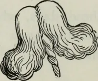 An illustration from British costume during XIX centuries (civil and ecclesiastical) (1910)