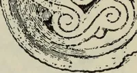 Picture 36 of 501 from British costume during XIX centuries (civil and ecclesiastical) (1910), leaf 59