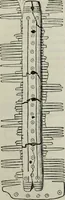 An illustration from British costume during XIX centuries (civil and ecclesiastical) (1910)