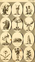 Picture 67 of 114 from British crests : containing the crests and mottos of the families of Great Britain and Ireland; together with those of the principal cities; and a glossary of heraldic terms (1817), leaf 140
