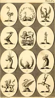 Picture 94 of 114 from British crests : containing the crests and mottos of the families of Great Britain and Ireland; together with those of the principal cities; and a glossary of heraldic terms (1817), leaf 194