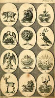 Picture 13 of 114 from British crests : containing the crests and mottos of the families of Great Britain and Ireland; together with those of the principal cities; and a glossary of heraldic terms (1817), leaf 32