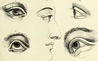 An illustration from The British drawing-book : or, the art of drawing with accuracy and beauty, containing a series of progressive lessons on drawing landscape scenery, marine views, architecture, animals, the human figure, &c. &c. also, a complete system of practical perspective, illustrated with numerous practical subjects (1845)