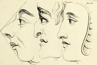 An illustration from The British drawing-book : or, the art of drawing with accuracy and beauty, containing a series of progressive lessons on drawing landscape scenery, marine views, architecture, animals, the human figure, &c. &c. also, a complete system of practical perspective, illustrated with numerous practical subjects (1845)