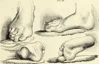 An illustration from The British drawing-book : or, the art of drawing with accuracy and beauty, containing a series of progressive lessons on drawing landscape scenery, marine views, architecture, animals, the human figure, &c. &c. also, a complete system of practical perspective, illustrated with numerous practical subjects (1845)
