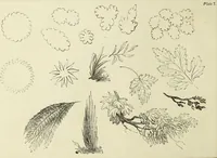 An illustration from The British drawing-book : or, the art of drawing with accuracy and beauty, containing a series of progressive lessons on drawing landscape scenery, marine views, architecture, animals, the human figure, &c. &c. also, a complete system of practical perspective, illustrated with numerous practical subjects (1845)