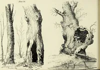 An illustration from The British drawing-book : or, the art of drawing with accuracy and beauty, containing a series of progressive lessons on drawing landscape scenery, marine views, architecture, animals, the human figure, &c. &c. also, a complete system of practical perspective, illustrated with numerous practical subjects (1845)
