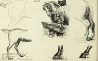 An illustration from The British drawing-book : or, the art of drawing with accuracy and beauty, containing a series of progressive lessons on drawing landscape scenery, marine views, architecture, animals, the human figure, &c. &c. also, a complete system of practical perspective, illustrated with numerous practical subjects (1845)