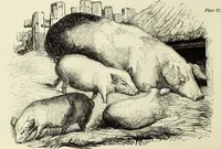 An illustration from The British drawing-book : or, the art of drawing with accuracy and beauty, containing a series of progressive lessons on drawing landscape scenery, marine views, architecture, animals, the human figure, &c. &c. also, a complete system of practical perspective, illustrated with numerous practical subjects (1845)