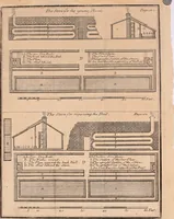 Picture 6 of 8 from The British gardener's new director : chiefly adapted to the climate of the northern counties: directing the necessary works in the kitchen, fruit and pleasure gardens, and in the nursery, greenhouse, and stove ... (1771), leaf 223
