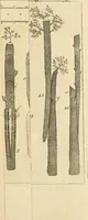 An illustration from The British gardener's new director : chiefly adapted to the climate of the northern counties: directing the necessary works in the kitchen, fruit and pleasure gardens, and in the nursery, greenhouse, and stove ... (1771)