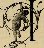 An illustration from British miniature painters and their works (1898)