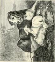 An illustration from British painters; with eighty examples of their work engraved on wood (1881)