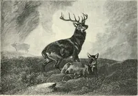 An illustration from British painters; with eighty examples of their work engraved on wood (1881)