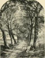 An illustration from British painters; with eighty examples of their work engraved on wood (1881)