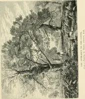 An illustration from British painters; with eighty examples of their work engraved on wood (1881)