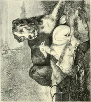An illustration from British painters; with eighty examples of their work engraved on wood (1881)