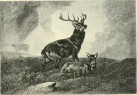 An illustration from British painters; with eighty examples of their work engraved on wood (1881)